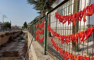 Kış için kurutulan biberler kanal çitlerine asıldı