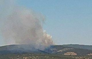 Kıyıkışlacık’ta ormanlık alanda yangın başladı