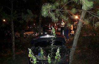 Kontrolden çıkan otomobiller çarpıştı, biri...