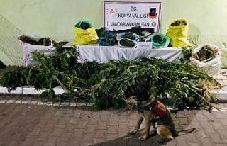 Konya’da saman yığınlarının arasında 23 kilo...