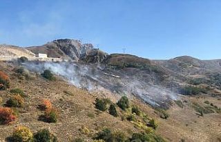 Kop Dağı’nda çıkan örtü yangını kontrol...