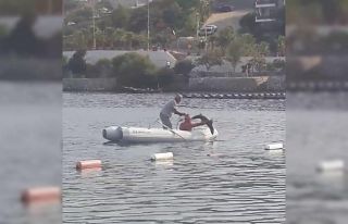 Köpek balığının yardımına koştular