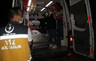 Köpek saldırısına uğrayan yaşlı adam yaralandı