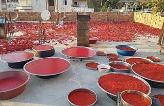 Korona değil isot kırmızısı