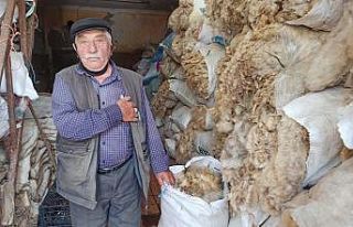 Koyun yünlerinin alıcısı yok denecek kadar azaldı