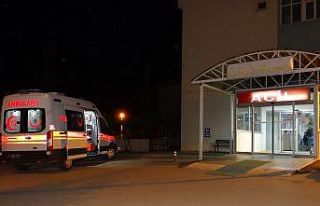 Koyunlar eve dönünce acı gerçek ortaya çıktı