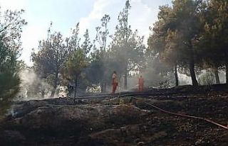 Kozan’daki Hatıra Ormanı’nda yangın