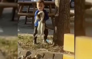 Küçük çocuğun kedi sevgisi yürekleri ısıttı
