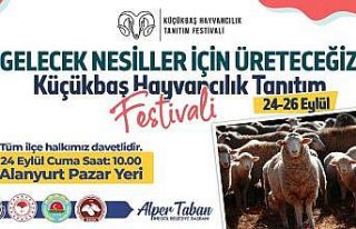Küçükbaş Hayvancılık Festivali başlıyor