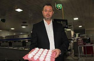 Kuraklık nedeniyle artan yem fiyatları yumurtaya...