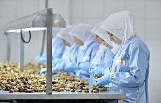 "Kuru incirin geleceği için sektör birlik...