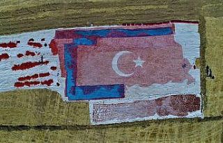 Kurutmalık domateslerle ay yıldızlı Türkiye haritası...