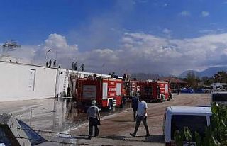 Kuruyemiş fabrikasında korkutan yangın