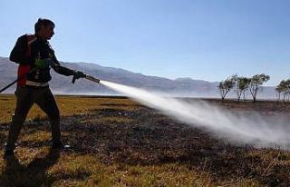 Kuş cennetindeki yangın yer yer devam ediyor