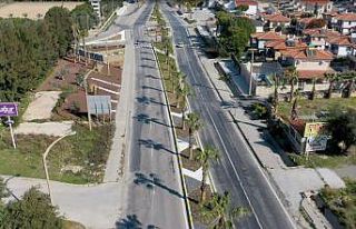 Kuşadası Belediyesi’nden ağaç dikim seferberliği