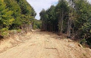 Kütahya’da yeni orman yolları açılıyor