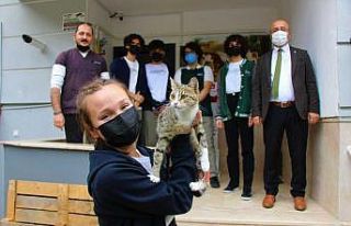 Liseli gençler ayağı kırılan kediyi para toplayıp...