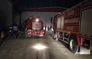 Lojistik firmasının deposunda yangın