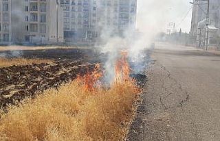 Mahalle arasındaki otluk yangını korkuttu