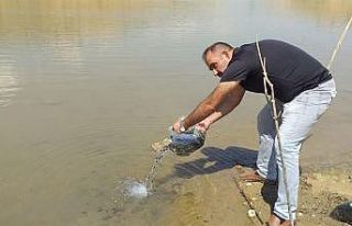 Malatya’da göletlere 120 bin yavru balık bırakıldı