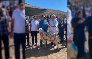 Malatya’da koç katım şenliği düzenlendi