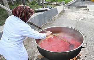 Mamak’ta organik ürünler sofraları süslüyor
