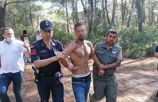 Manavgat’ta ormanı yakarken suçüstü yakalanan...