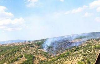 Manisa’da çıkan orman yangını kontrol altında