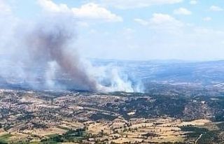 Manisa’da ormanlık alanda yangın