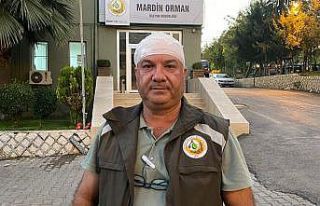 Mardin’de kaçak ağaç kesimi yapan kişiler, orman...