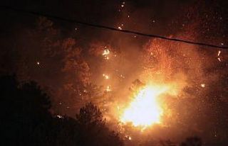 Marmaris’te orman yangını