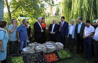 Menteşe’de hasat şenliği