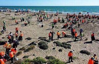 Mersin sahillerinde temizlik çalışması yapıldı