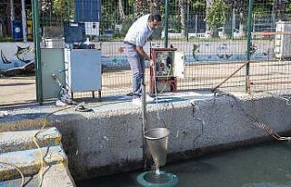 Mersin’de deniz yüzeyindeki atıklar vakumlanarak...