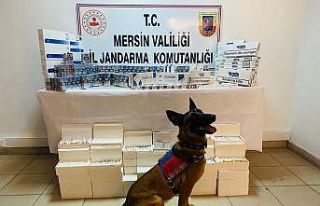 Mersin’de kaçak sigara operasyonu: 4 gözaltı