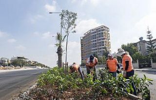 Mersin’de mevsimlik çiçek dikimi öncesi hazırlık