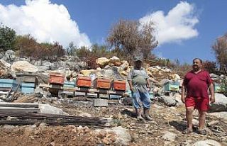 Mersin’de orman yangınlarında zarar gören vatandaşlara...