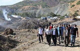 Meşe odununun mangal kömürüne