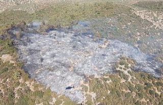 Milas’taki yangın kontrol altına alındı