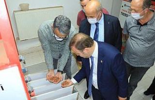 Milletvekili Öztürk, ilçelerde ziyaretler gerçekleştirdi