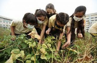 Mini Bostan’da kış hazırlığı