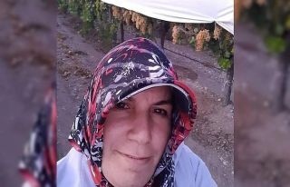 Minibüsün çarptığı tarım işçisi öldü