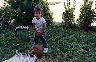 Minik çocukla yavru köpeğin oynaması kameraya...