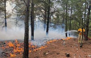 Muğla’da 15 yıldırım yangını söndürüldü