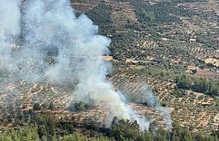 Muğla’da çıkan 10 yıldırım yangını büyümeden...