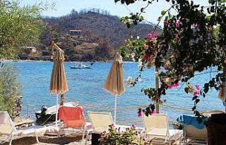 Muğla’daki yangının ardından yaralar sarılmaya...