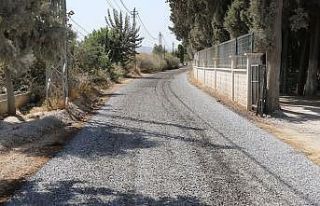 Muradiye Mezarlığında çalışma başlatıldı