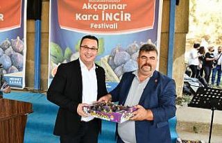 Mustafakemalpaşa Kara incir’in yeni merkezi olacak