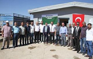 Muş’un Malazgirt ilçesinde pancar alım kampanyası...