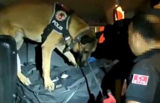 Narkotik köpeği ’Poyraz’ uyuşturucuya geçit...